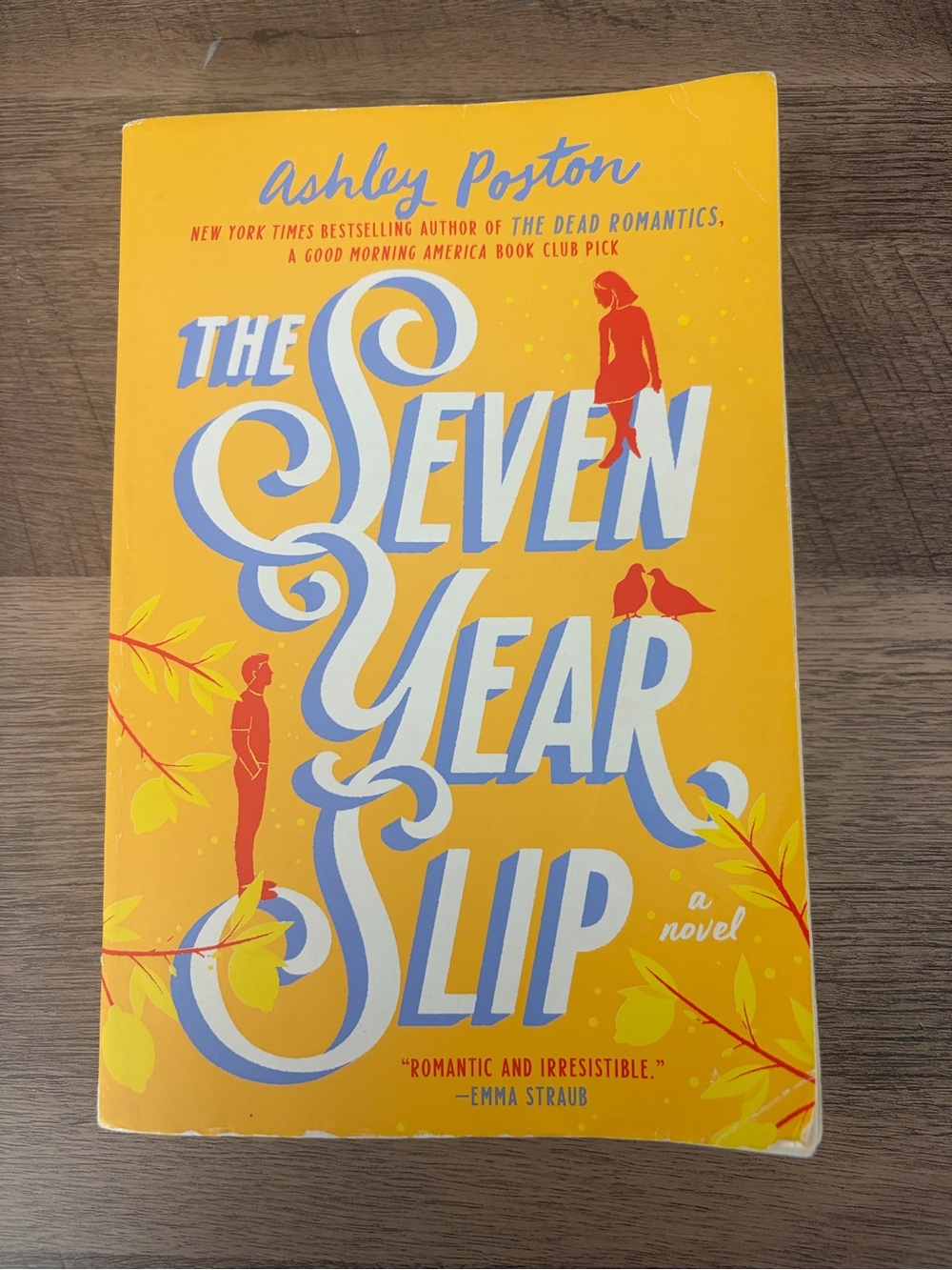Seven Year Slip by Ashley Poston